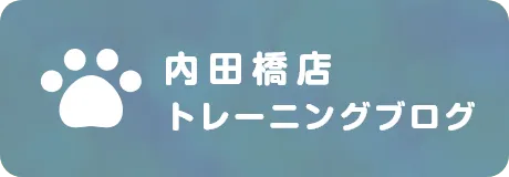 内田橋店トレーニングブログ